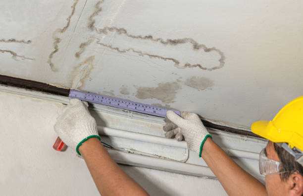 Reliable Mold Remediation contractor in Dante, SD by Water Damage Irwin